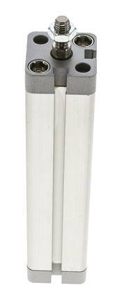 ISO 21287 Compacte Dubbelwerkende Cilinder 20-125mm - Magnetisch - Mannelijke Stang