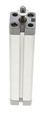 ISO 21287 Compacte Dubbelwerkende Cilinder 20-125mm - Magnetisch - Mannelijke Stang
