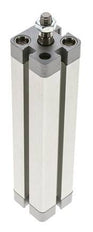 ISO 21287 Compacte Dubbelwerkende Cilinder 20-125mm - Magnetisch - Mannelijke Stang