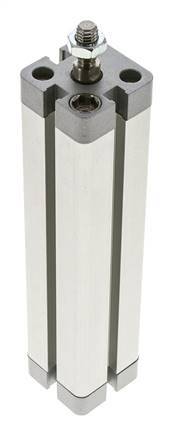 ISO 21287 Compacte Dubbelwerkende Cilinder 20-125mm - Magnetisch - Mannelijke Stang