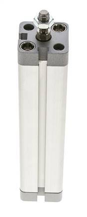 ISO 21287 Compacte Dubbelwerkende Cilinder 20-125mm - Magnetisch - Mannelijke Stang