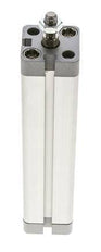 ISO 21287 Compacte Dubbelwerkende Cilinder 20-125mm - Magnetisch - Mannelijke Stang