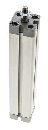 ISO 21287 Compacte Dubbelwerkende Cilinder 20-150mm - Magnetisch - Mannelijke Stang