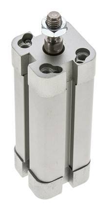 ISO 21287 Compacte Dubbelwerkende Cilinder 20-60mm - Magnetisch - Mannelijke Stang
