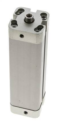 ISO 21287 Compacte Dubbelwerkende Cilinder 25-100mm - Magnetisch