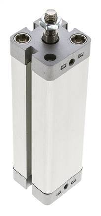ISO 21287 Compacte Dubbelwerkende Cilinder 25-100mm - Magnetisch - Mannelijke Stang