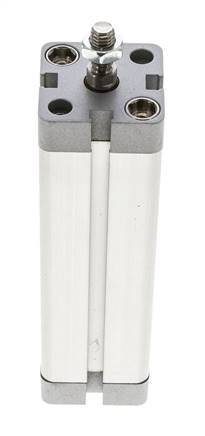 ISO 21287 Compacte Dubbelwerkende Cilinder 25-100mm - Magnetisch - Mannelijke Stang