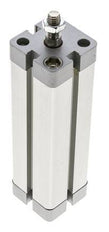ISO 21287 Compacte Dubbelwerkende Cilinder 25-100mm - Magnetisch - Mannelijke Stang
