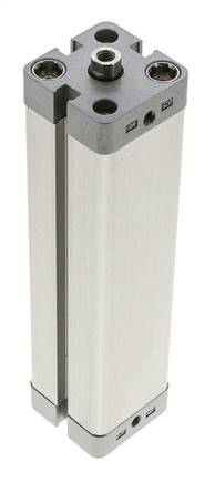 ISO 21287 Compacte Dubbelwerkende Cilinder 25-125mm - Magnetisch