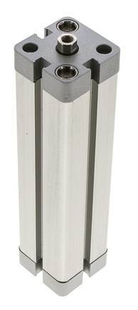 ISO 21287 Compacte Dubbelwerkende Cilinder 25-125mm - Magnetisch
