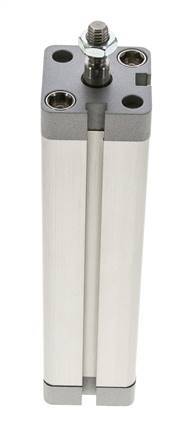 ISO 21287 Compacte Dubbelwerkende Cilinder 25-125mm - Magnetisch - Mannelijke Stang