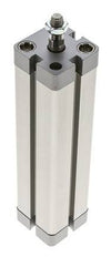 ISO 21287 Compacte Dubbelwerkende Cilinder 25-125mm - Magnetisch - Mannelijke Stang