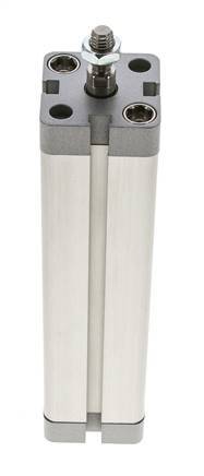 ISO 21287 Compacte Dubbelwerkende Cilinder 25-125mm - Magnetisch - Mannelijke Stang