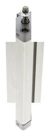 ISO 21287 Compacte Dubbelwerkende Cilinder 25-150mm - Magnetisch - Mannelijke Stang