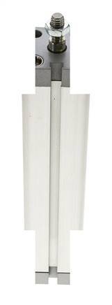 ISO 21287 Compacte Dubbelwerkende Cilinder 25-150mm - Magnetisch - Mannelijke Stang