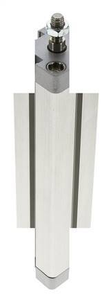 ISO 21287 Compacte Dubbelwerkende Cilinder 25-150mm - Magnetisch - Mannelijke Stang