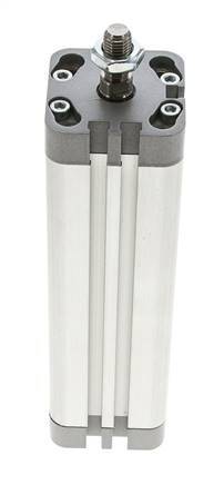 ISO 21287 Compacte Dubbelwerkende Cilinder 32-125mm - Magnetisch - Mannelijke Stang
