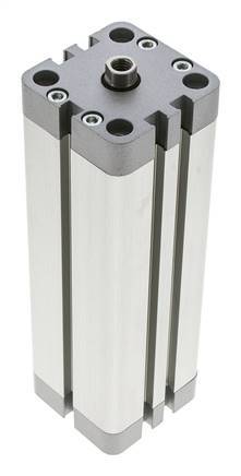 ISO 21287 Compacte Dubbelwerkende Cilinder 40-125mm - Magnetisch