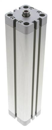 ISO 21287 Compacte Dubbelwerkende Cilinder 40-200mm - Magnetisch