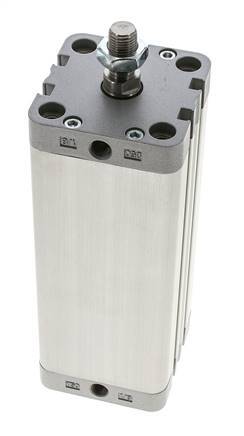 ISO 21287 Compacte Dubbelwerkende Cilinder 50-125mm - Magnetisch - Mannelijke Stang