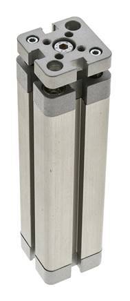 ISO 21287 Compacte Dubbelwerkende Cilinder 20-100mm - Magnetisch - Niet-roterend