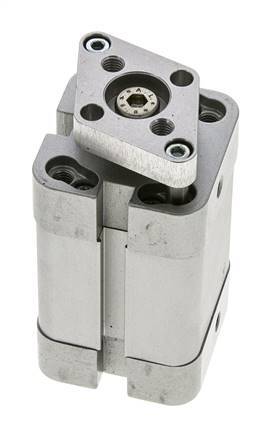 ISO 21287 Compacte Dubbelwerkende Cilinder 25-25mm - Magnetisch - Niet-roterend