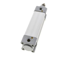 ISO 15552 Dubbelwerkende Cilinder 40-100mm - Magnetisch - Demping - RVS Stang