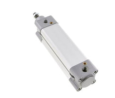 ISO 15552 Dubbelwerkende Cilinder 40-100mm - Demping