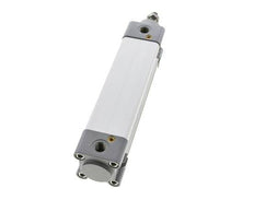 ISO 15552 Dubbelwerkende Cilinder 40-125mm - Magnetisch - Demping - RVS Stang