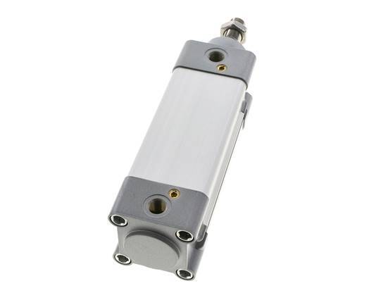 ISO 15552 Dubbelwerkende Cilinder 50-80mm - Magnetisch - Demping - RVS Stang