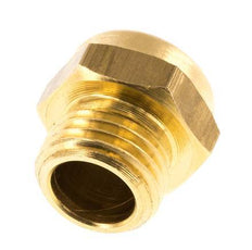 G1/4'' Messing Compacte Pneumatische Geluiddemper 1.4301 Draadgaas [5 Stuks]