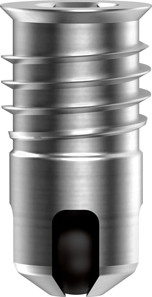 Festo Terugslagklep - 8047364 [2 Stuks]
