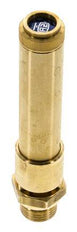 G 1/2'' Brass Pre-Set Safety Valve 42 bar (609.17 psi) DN 10