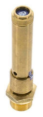 G 3/4'' Brass Pre-Set Safety Valve 47 bar (681.69 psi) DN 10