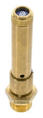 G 3/4'' Brass Pre-Set Safety Valve 50 bar (725.2 psi) DN 10