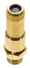 G 1/2'' Brass Pre-Set Safety Valve 6.1 bar (88.47 psi) DN 10
