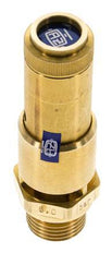 G 1/2'' Brass Pre-Set Safety Valve 6.1 bar (88.47 psi) DN 10