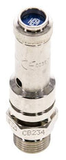 G 1/4'' Nickel-plated Brass Pre-Set Safety Valve 3 bar (43.51 psi) DN 8