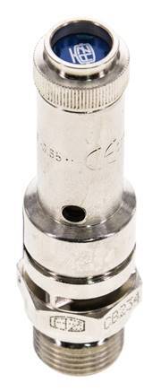 G 3/8'' Nickel-plated Brass Pre-Set Safety Valve 4 bar (58.02 psi) DN 8