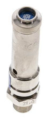 G 1/4'' Nickel-plated Brass Pre-Set Safety Valve 21 bar (304.58 psi) DN 8