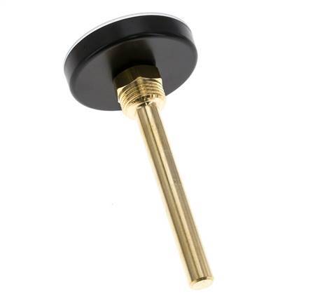 0 to +120°C Plastic Bimetallic Thermometer 63mm Cabinet 100mm Stem with Thermowell