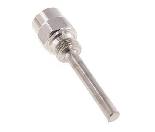 RVS G 1/2 Inch Thermowell voor 100mm Dompelbuis Max 600°C en 25 Bar