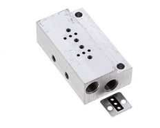 Manifold 2-Stations YPC YSV20