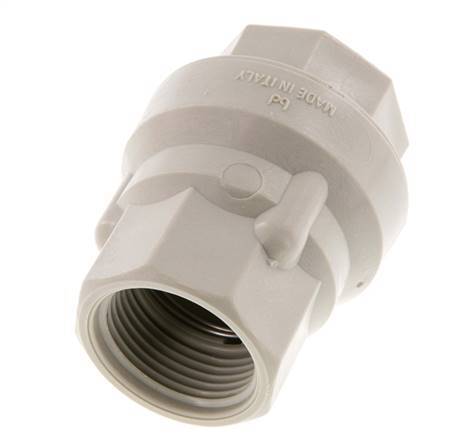 G 1'' Polypropyleen Terugslagklep 0.02-6 bar (0.29-87 psi)