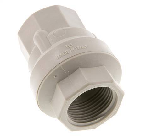 G 1'' Polypropyleen Terugslagklep 0.02-6 bar (0.29-87 psi)