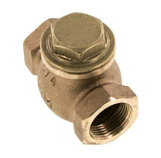 G 3/4'' Rood Brons Lift Terugslagklep 20 bar (290 psi) Heavy Duty
