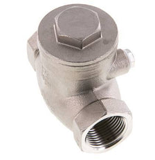 G 3/4'' RVS Swing Terugslagklep 16 Bar (232 Psi) Metalen Afdichting