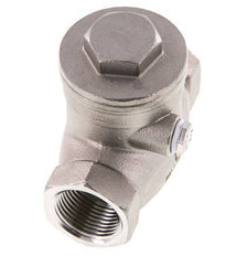 G 3/4'' RVS Swing Terugslagklep 16 Bar (232 Psi) Metalen Afdichting