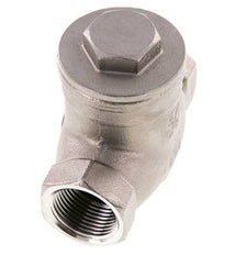 G 3/4'' RVS Swing Terugslagklep 16 Bar (232 Psi) Metalen Afdichting