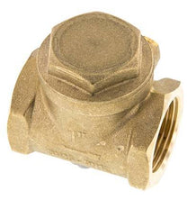 G 1'' Messing Swing Terugslagklep 12 Bar (174 Psi) Metalen Afdichting